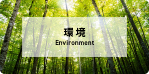 環境